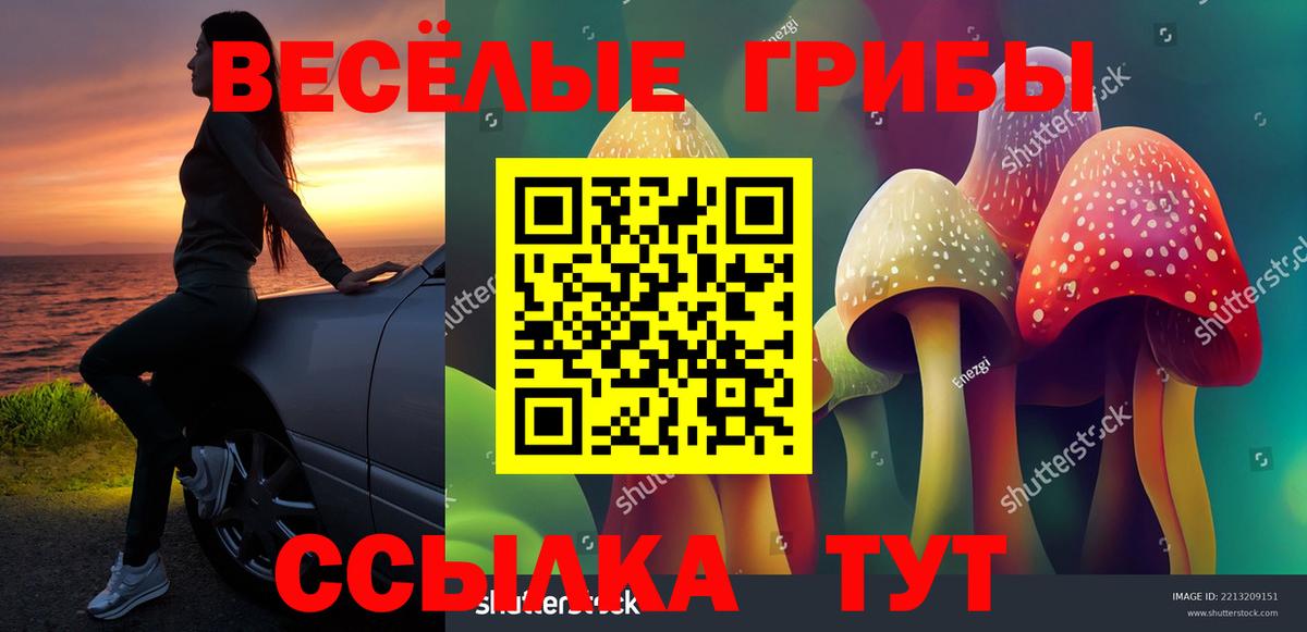 Псилоцибиновые грибы Magic Shrooms  Вход с VPN  сколько стоит  Кириши 