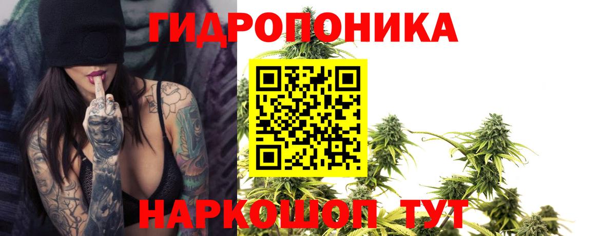 МАРИХУАНА тримм  МАРИХУАНА White Widow  Бошки Шишки тримм  Кириши  Канабис гибрид  Вход с VPN 